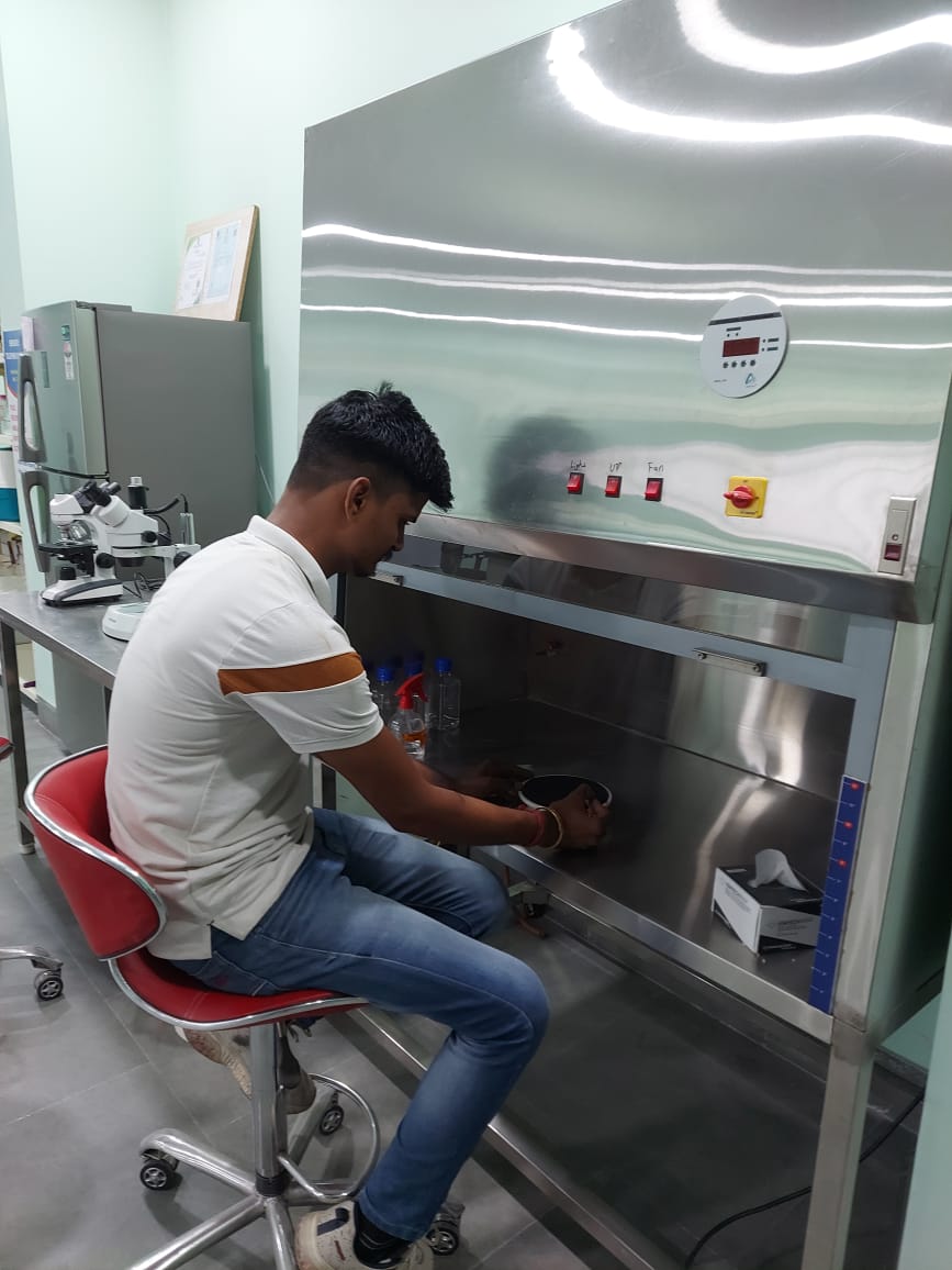 Tissue culture